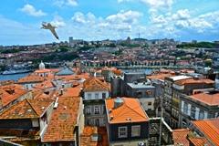 Mansor - Soaring through Porto Portugal.jpg